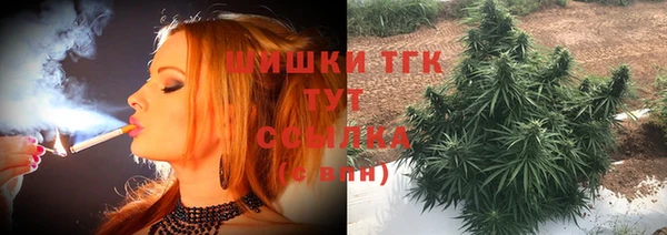 эйфоретик Инсар